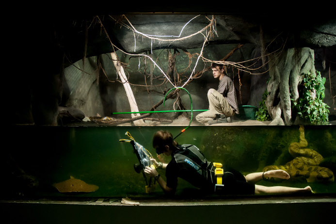 Petr Jan Juračka se při fotografování pro pražskou zoo dostává do nevšedních situací. Tentokrát si musel nasadit šnorchl, ponořit se pod vodu a fotografovat trnuchu, zatímco se kolem něj plazila obrovská anakonda (foto: Jakub Dobiáš).