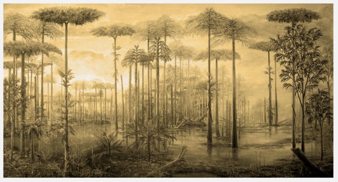 Takto vypadal tropický prales v oblasti Ovčín v době před 310 miliony let