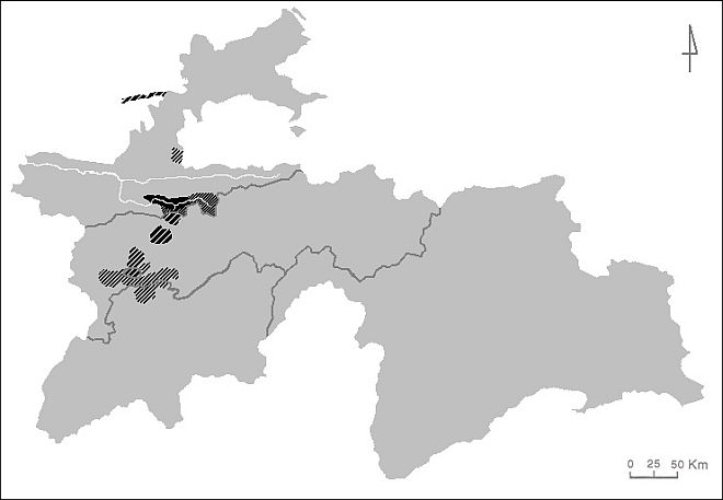 Oblasti, ve kterých žijí mluvčí jaghnóbského jazyka či tádžicko-jazyčné obyvatelstvo jaghnóbského původu (intensita šrafování vyznačuje relativní homogenitu jaghnóbských komunit v daných oblastech). Autor: Ľubomír Novák
