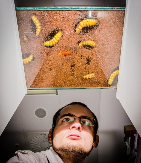 Aleš Buček s larvami lišaje smrtihlava, se kterými pracoval v rámci výzkumu feromonové komunikace na ÚOCHB.