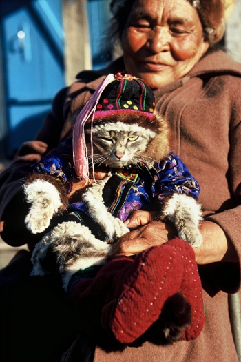 In the Altai Republic you can also encounter puss-in-boots