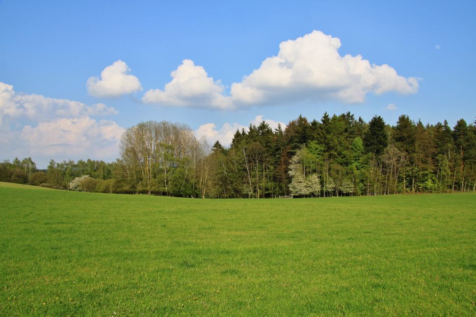 A landscape scene in the Czech-Moravian Highlands. Source: Shutterstock