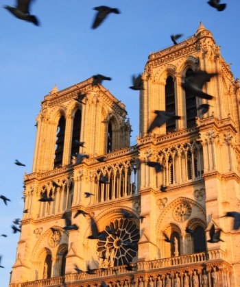 Notre-Dame de Paris Cathedral. Source: Shutterstock.