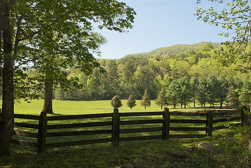 Illustrative photo (rural South Carolina) - Shutterstock.